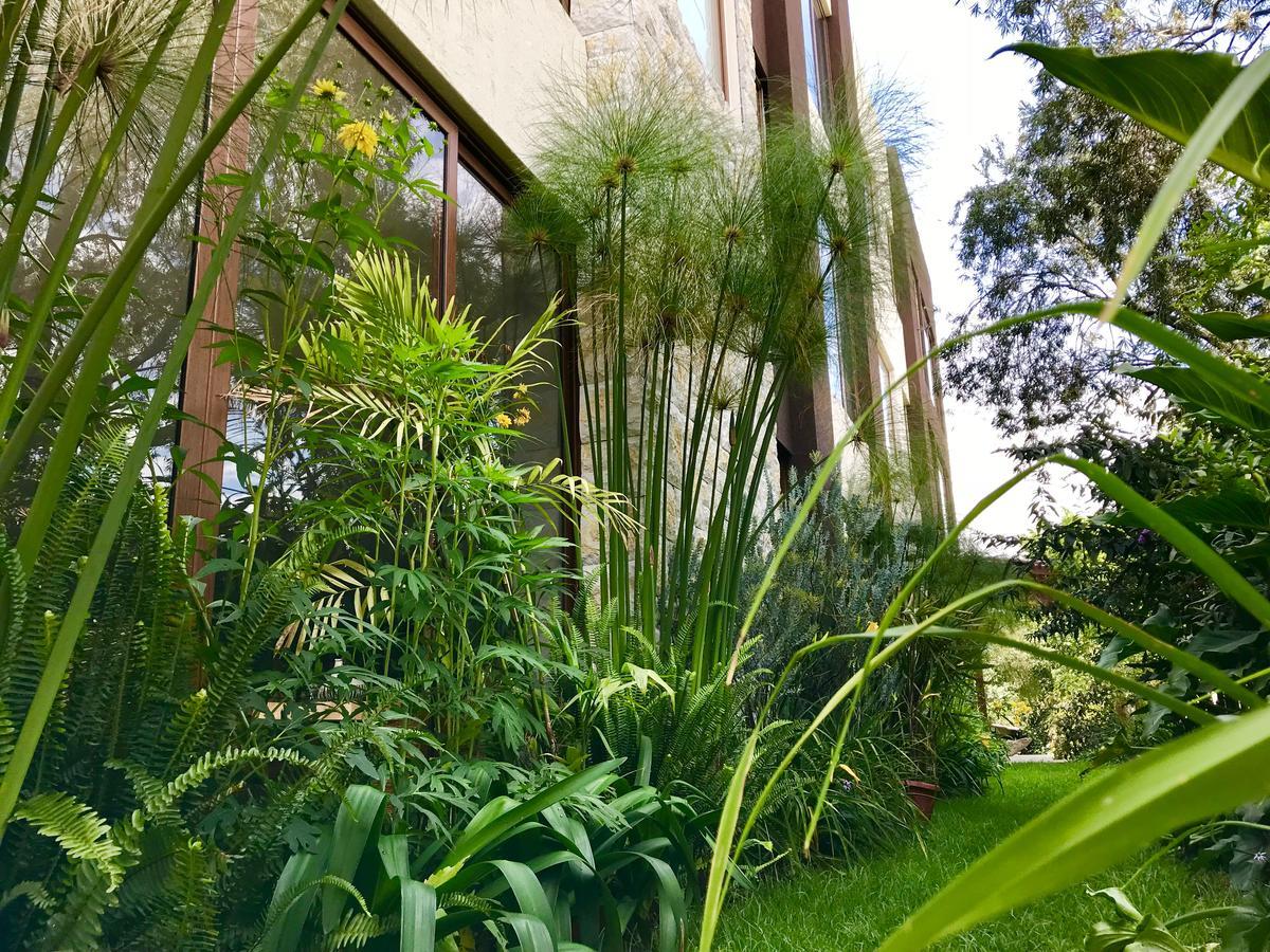 Ilalo Garden Hotel&restaurant Hotel 4*